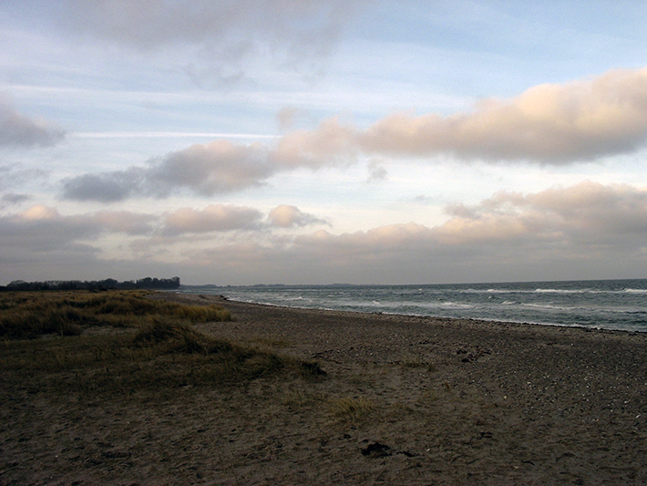 Herder