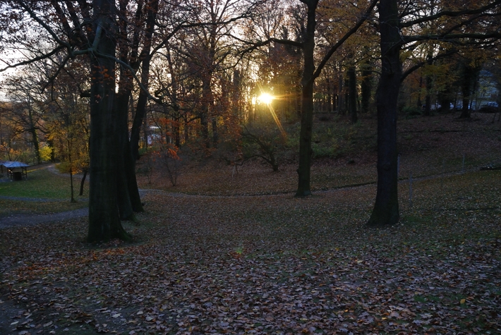 Lebensverhältnisse