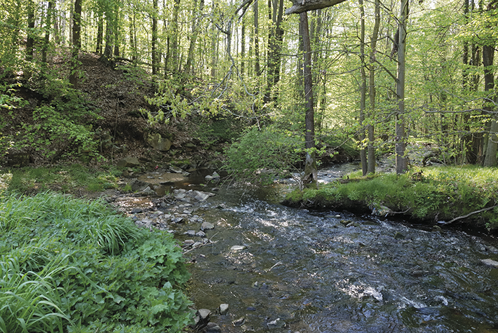 Rathenau