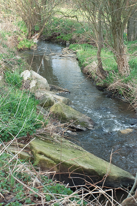 Skepsis und Hoffnung