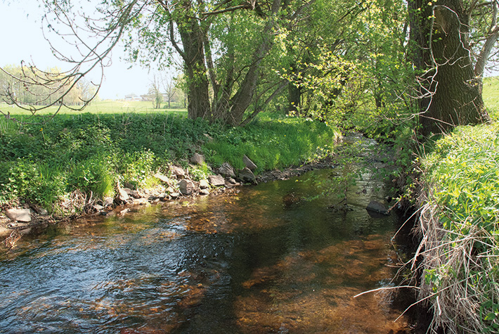 Skepsis und Hoffnung
