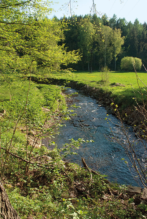 Skepsis und Hoffnung