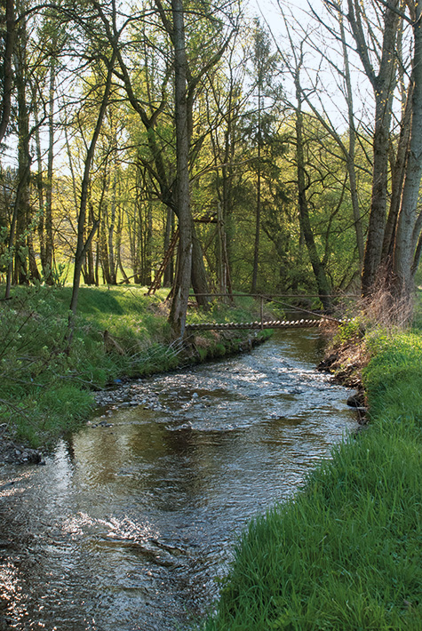 Skepsis und Hoffnung