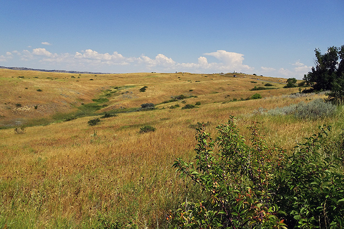 Little Bighorn