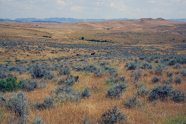 Little Bighorn